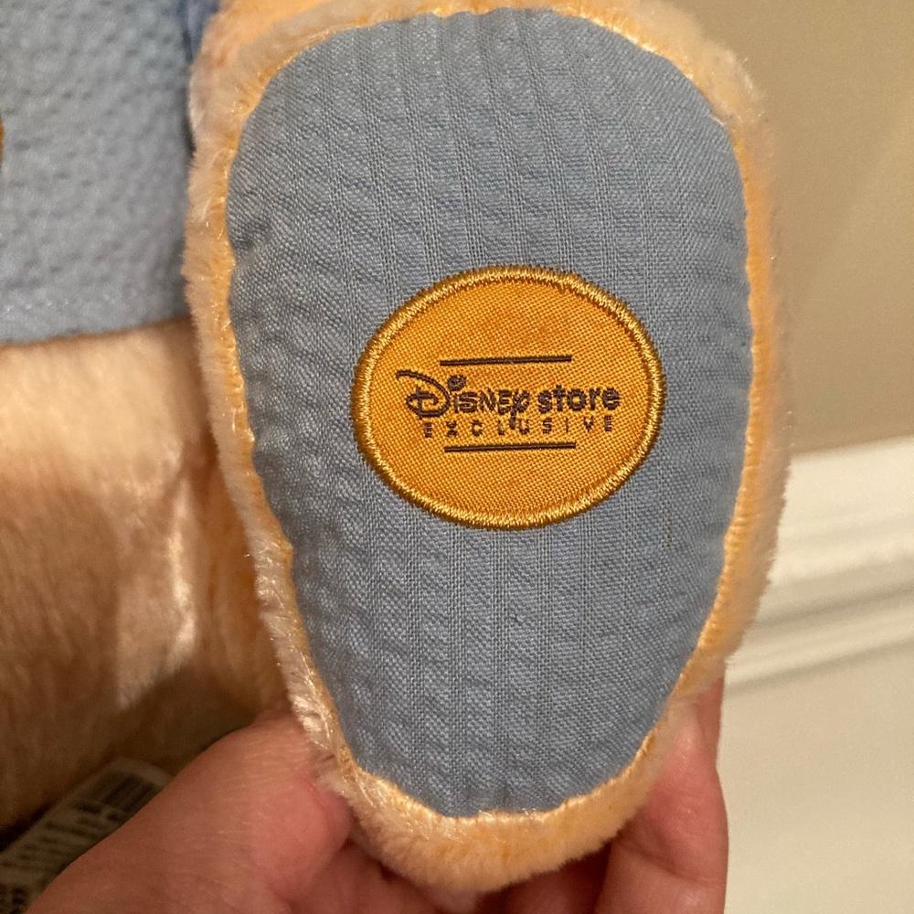 Winnie the Pooh Disney Store Exclusive